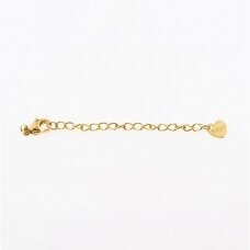 10 pcs, stainless steel chain extender with clasp, gold plated, gold color, chain length-5 mm, clasp: wide-6.5 mm, length-10 mm, hole size-2 mm 10 pcs, stainless steel chain extender with clasp, gold plated, gold color, chain length-5 mm, clasp: wide-6.5 mm, length-10 mm, hole size-2 mm