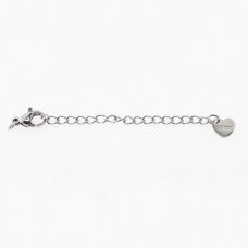 10 pcs, stainless steel chain extender with clasp, silver color, chain-5 mm, clasp: wide-6.5 mm, length-10 mm, hole size-2 mm 10 pcs, stainless steel chain extender with clasp, silver color, chain-5 mm, clasp: wide-6.5 mm, length-10 mm, hole size-2 mm