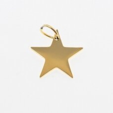 Stainless steel star pendant, gold plated, gold color, wide-12 mm, length-14 mm, hole size-4 mm
