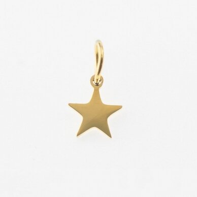 Stainless steel star pendant, gold plated, gold color, wide-6 mm, length-10 mm, hole size-4 mm
