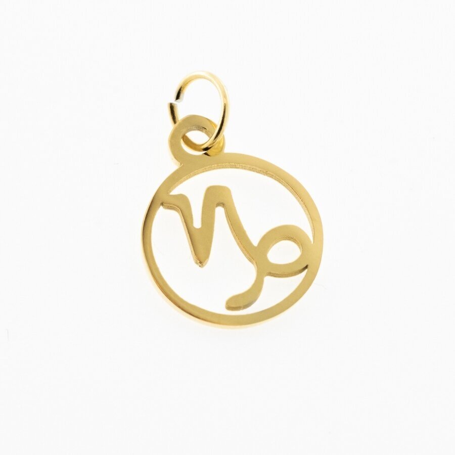 Stainless steel zodiac sign pendant, capricorn, gold plated, gold color, width-11 mm, length-16 mm Stainless steel zodiac sign pendant, capricorn, gold plated, gold color, width-11 mm, length-16 mm