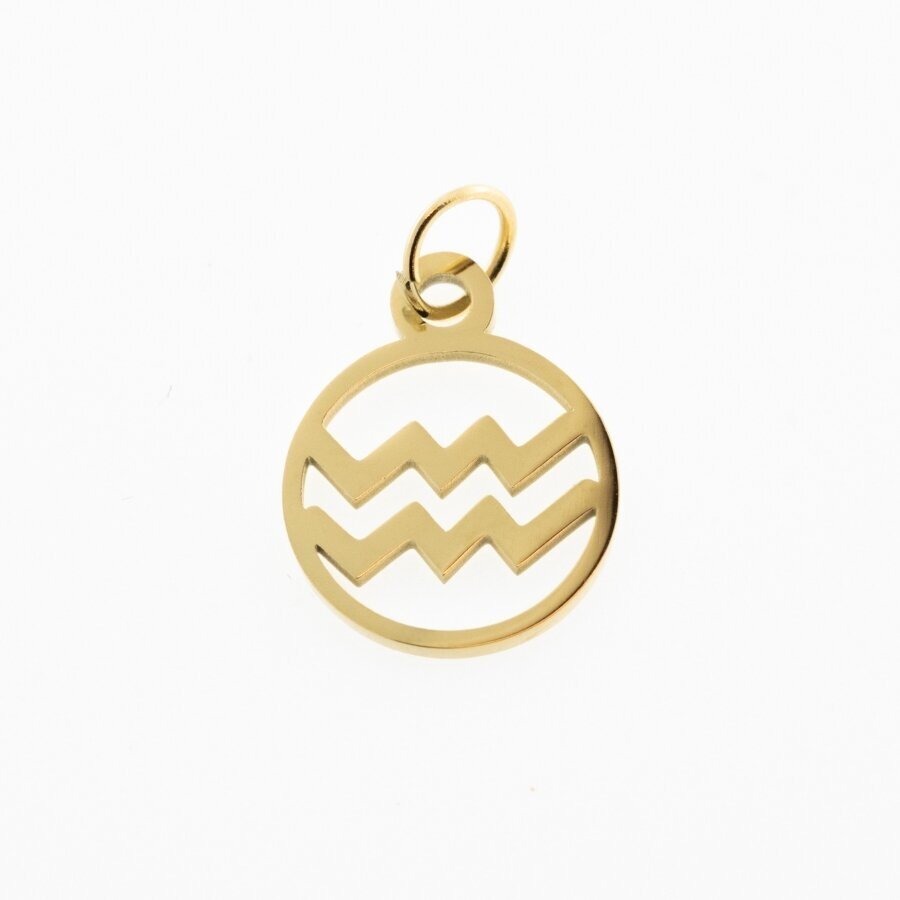 Stainless steel zodiac sign pendant, aquarius, gold plated, gold color, width-11 mm, length-16 mm Stainless steel zodiac sign pendant, aquarius, gold plated, gold color, width-11 mm, length-16 mm
