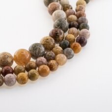 Ocean Agate, Natural, Round Bead, Multicolor, 37-39 cm/strand, 6 mm
